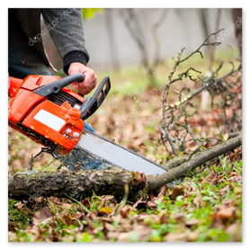 Sicheres Zuschneiden am Stamm