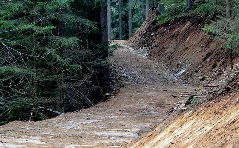 Pflege eines Waldpfades