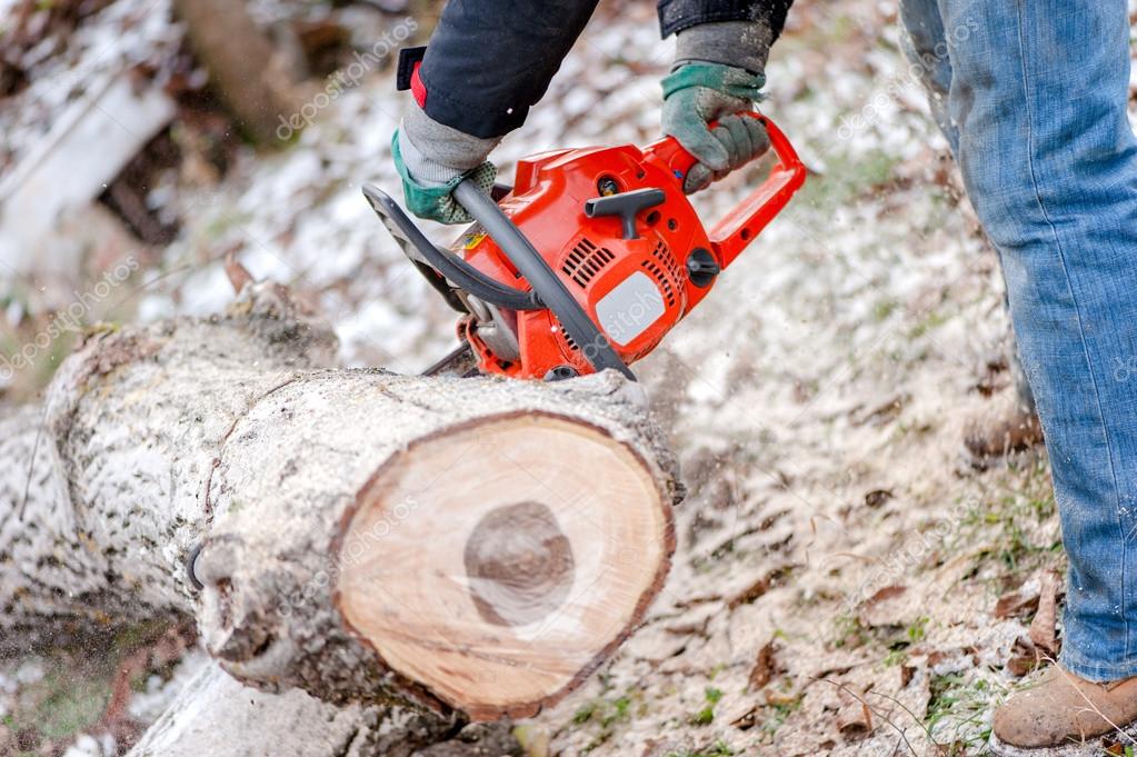 Holzfäller mit Motorsäge und Schutzkleidung